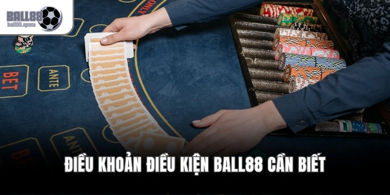 Điều Khoản Điều Kiện Ball88 – Quy Định Cá Cược Minh Bạch