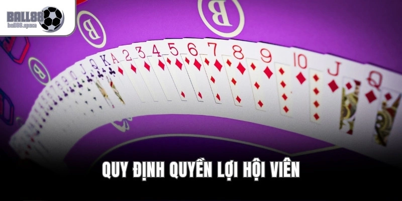 Điều Khoản Điều Kiện Ball88 – Quy Định Cá Cược Minh Bạch